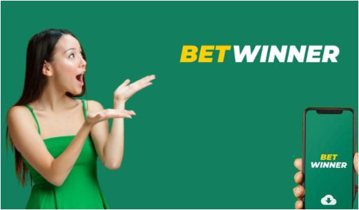 The Evolution of Casino Online Gaming Trends and Insights